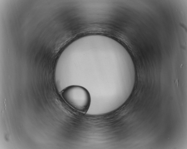 X0000101690411200807101213