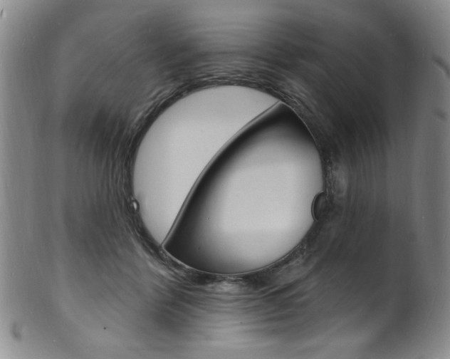 X0000101690412200807101213
