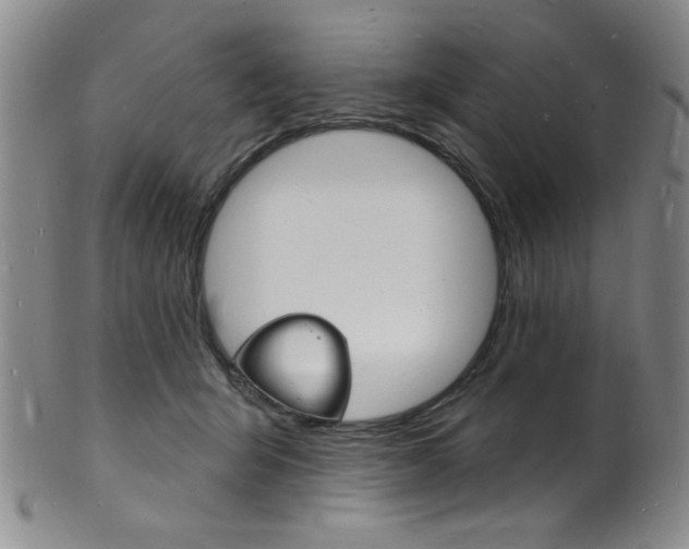 X0000101690415200807101213