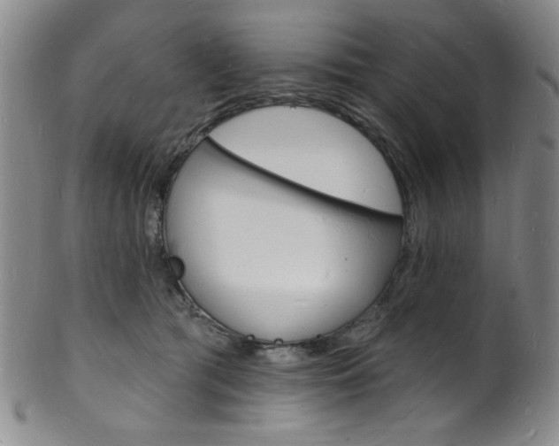 X0000101690417200807101213
