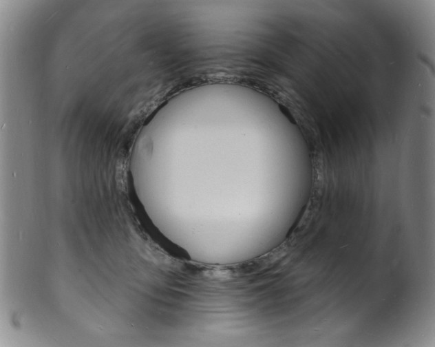 X0000101690419200807101213