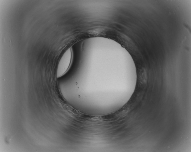 X0000101690420200807101213