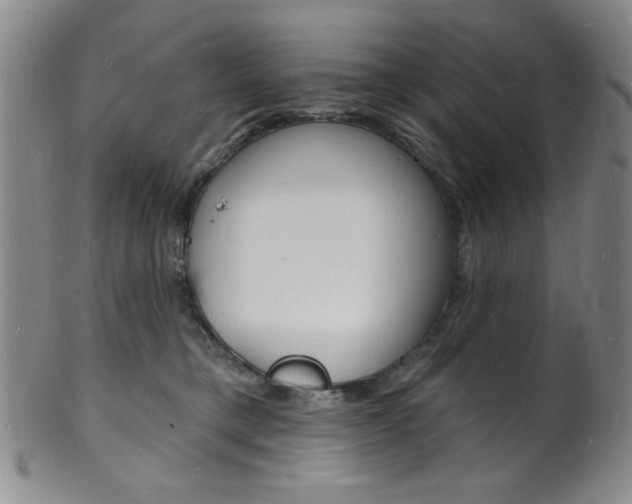 X0000101690421200807101213