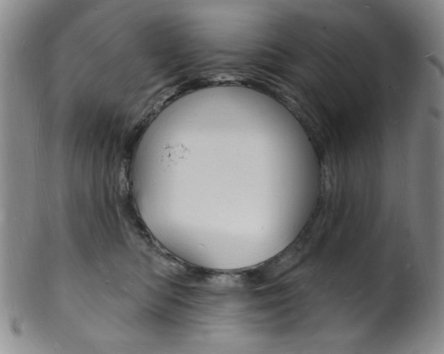 X0000101690422200807101213