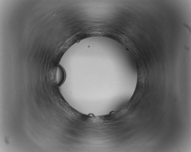 X0000101690425200807101213