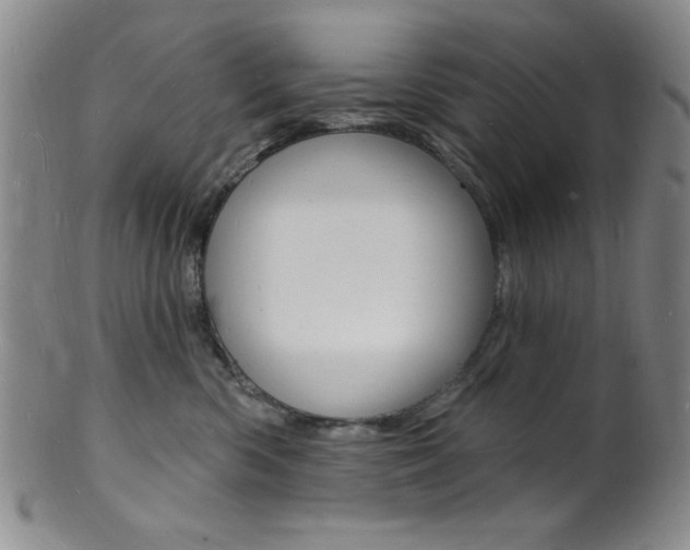 X0000101690426200807101213