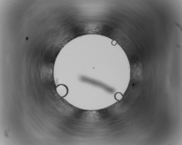 X0000101690427200807101212