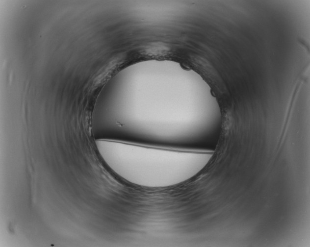 X0000101690428200807101212