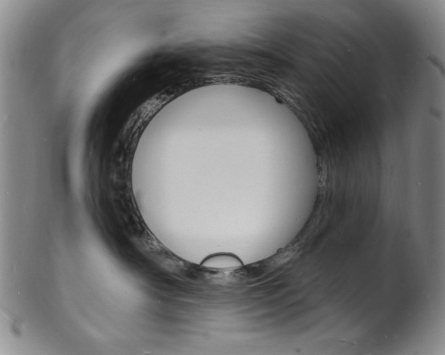 X0000101690430200807101212