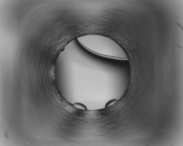 X0000101690432200807101212