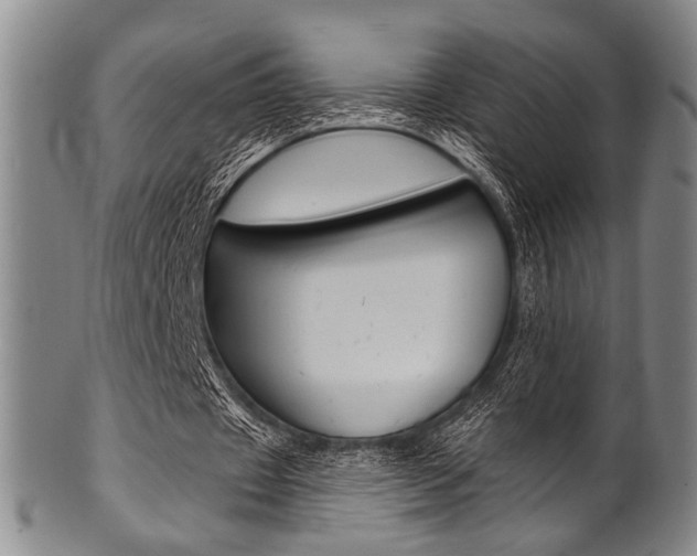 X0000101690433200807101212
