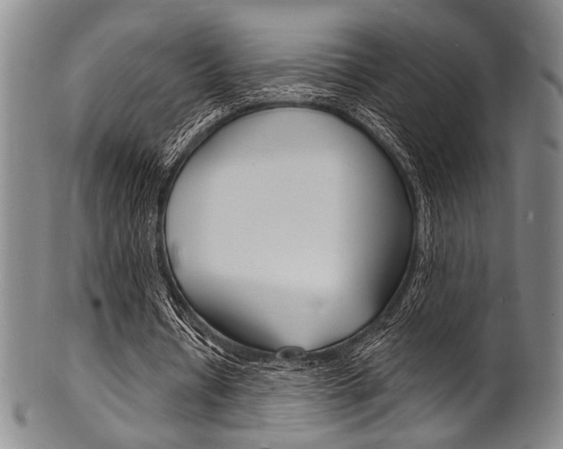 X0000101690434200807101212