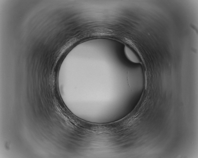 X0000101690435200807101212