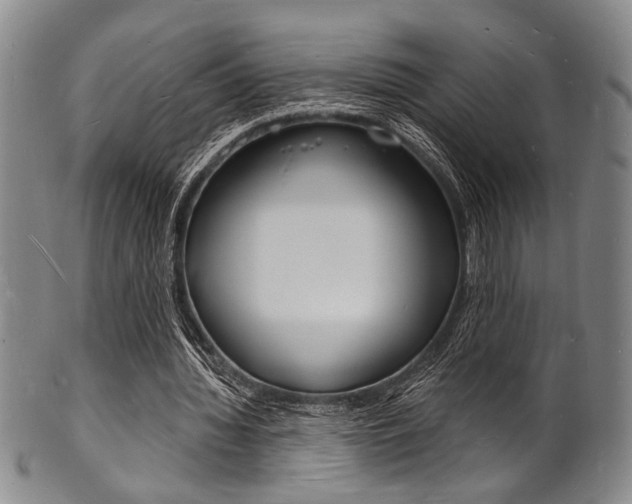 X0000101690436200807101212