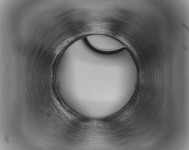 X0000101690437200807101212