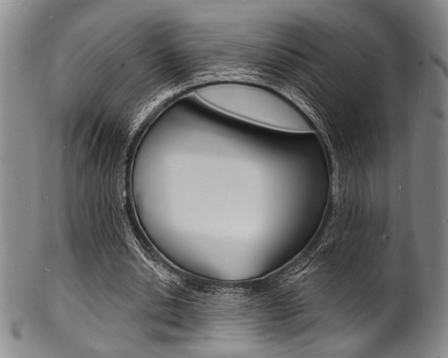 X0000101690438200807101212