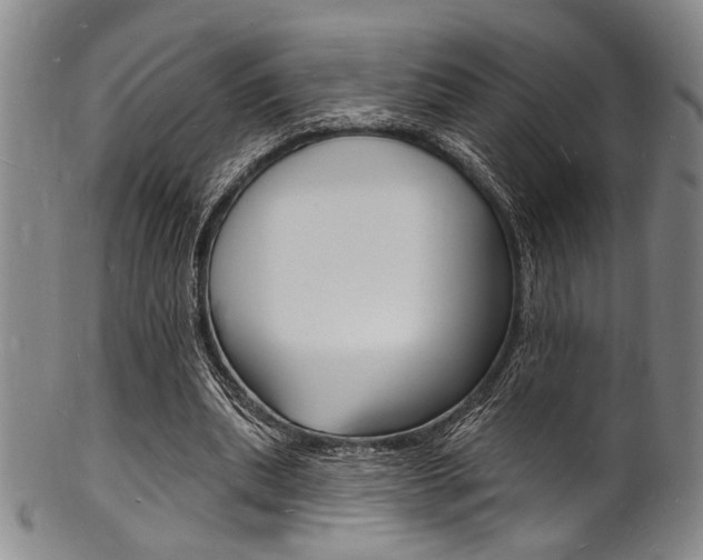 X0000101690439200807101212