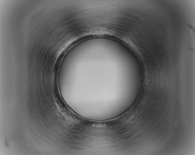 X0000101690440200807101212