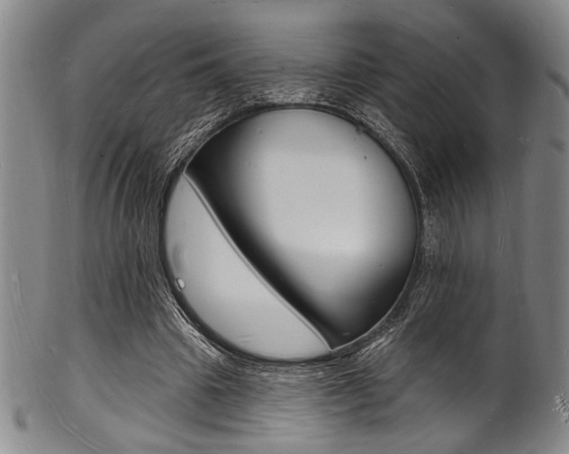X0000101690441200807101212