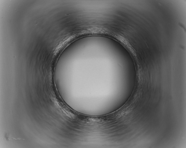 X0000101690442200807101212
