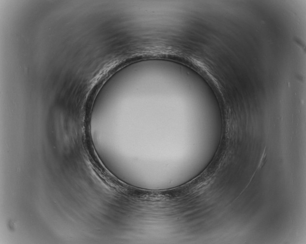 X0000101690443200807101212