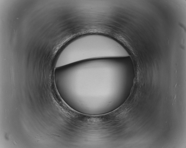 X0000101690444200807101212
