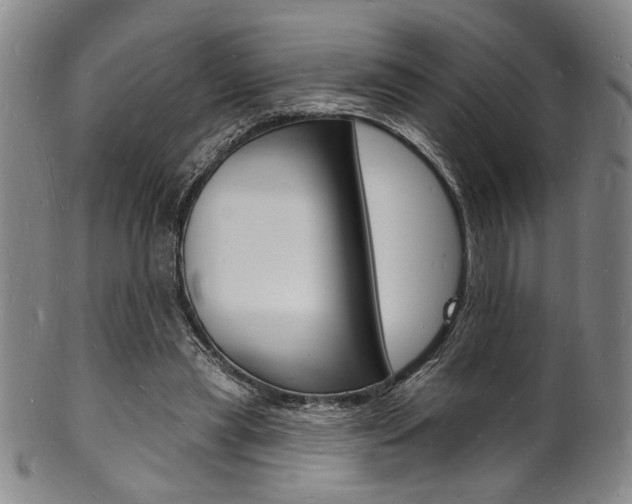 X0000101690445200807101212