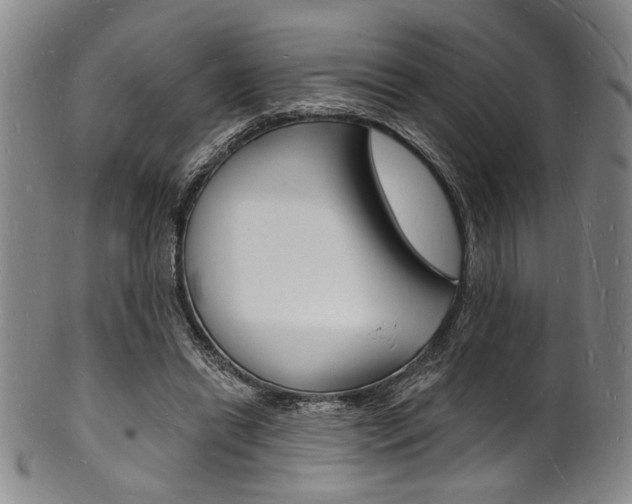 X0000101690446200807101212