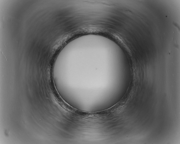 X0000101690447200807101212