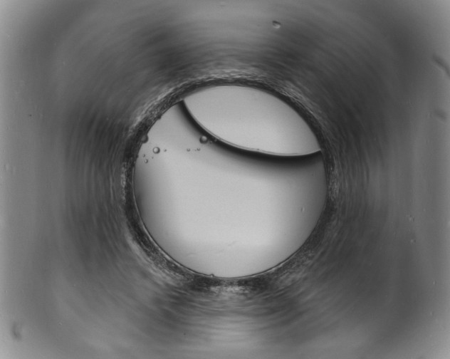 X0000101690448200807101212