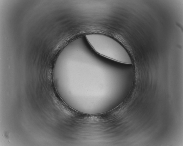 X0000101690449200807101212