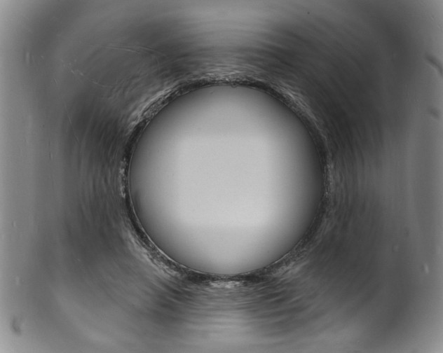 X0000101690450200807101212