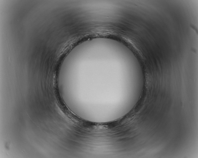 X0000101690451200807101212