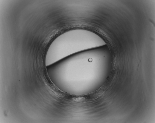 X0000101690452200807101212