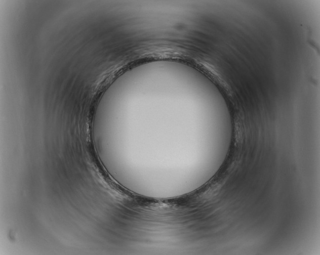 X0000101690453200807101212