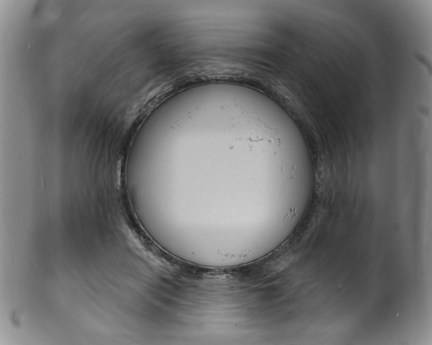 X0000101690454200807101212