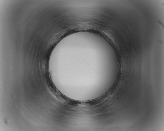 X0000101690455200807101212