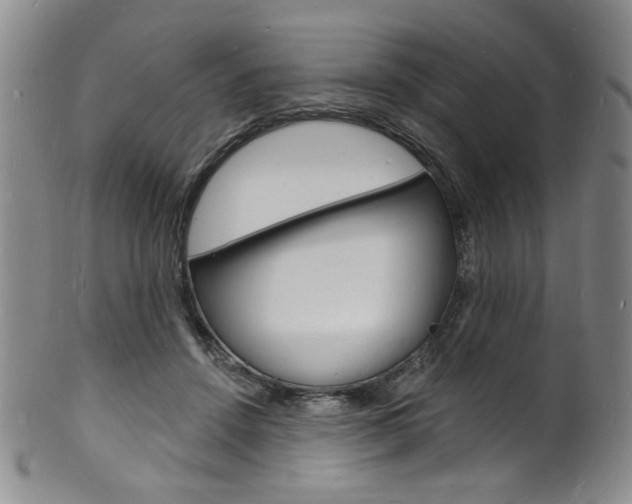 X0000101690456200807101212