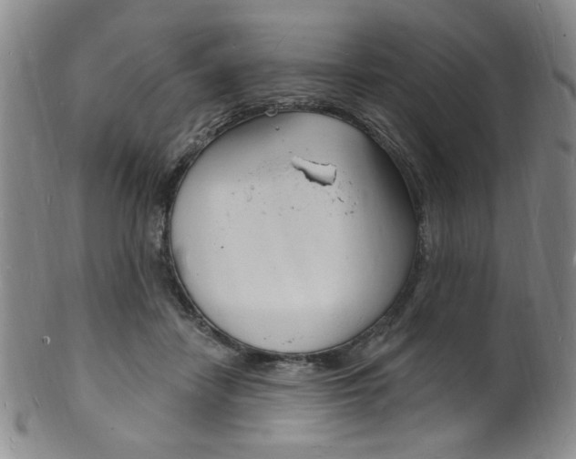 X0000101690458200807101212