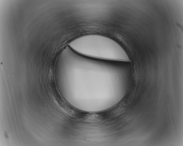 X0000101690459200807101212