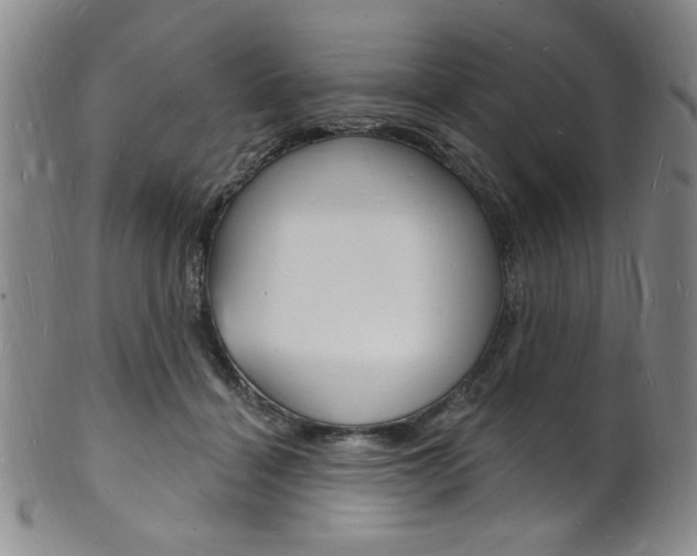 X0000101690460200807101212