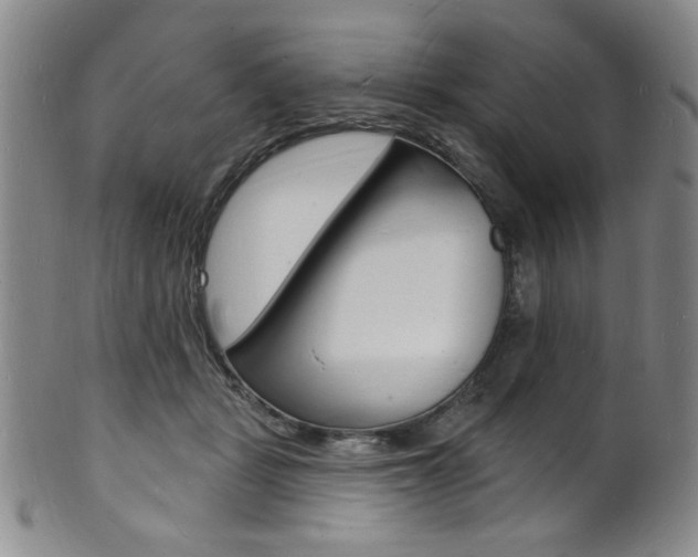 X0000101690461200807101212