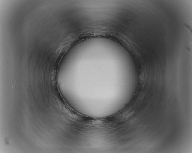 X0000101690462200807101212