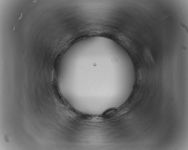 X0000101690463200807101212
