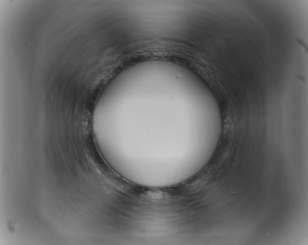 X0000101690464200807101212