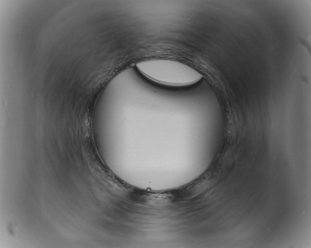 X0000101690465200807101212