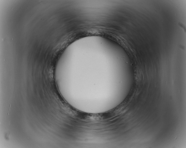 X0000101690466200807101212