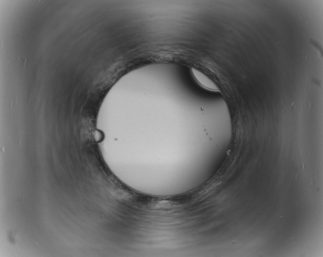 X0000101690467200807101212