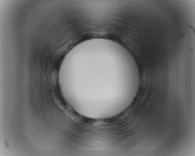 X0000101690468200807101212