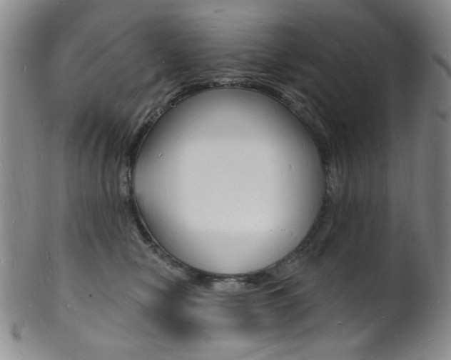X0000101690470200807101212
